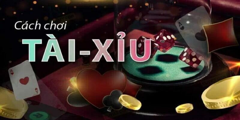 Cách Chơi Tài Xỉu Online Luôn Thắng Một vài lưu ý khi áp dụng cách chơi tài xỉu online luôn thắng